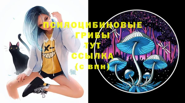 соль курить ск Баксан